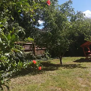 ellenőrizze a rendelkezésre állást